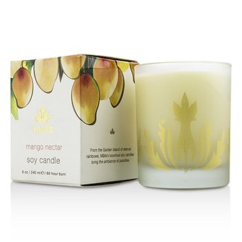 Soy Candle - Mango Nectar