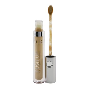 Push Up 4 in 1 Sculpting Concealer - # MG5 Almond