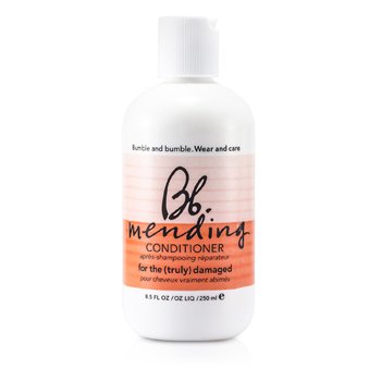 Mending Conditioner (For the Truly Damaged Hair)